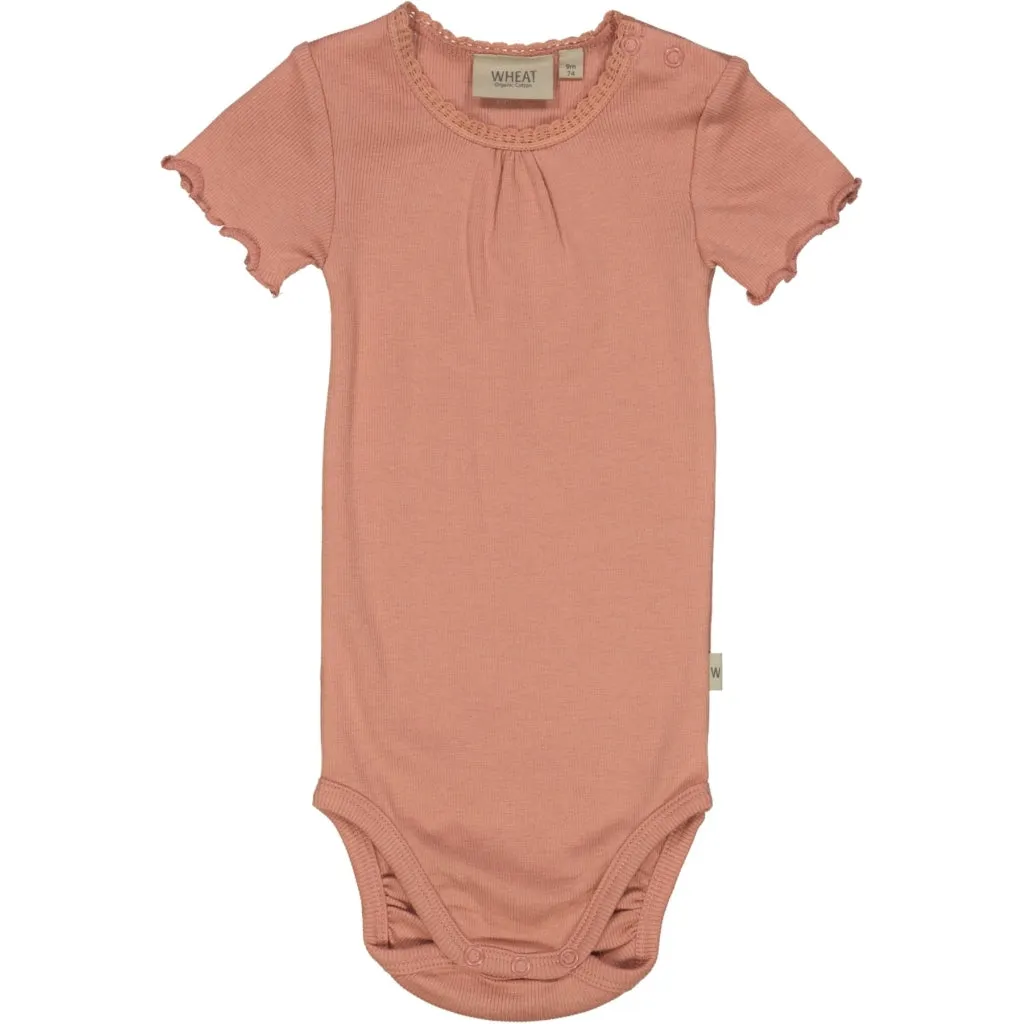 Body Rib Lace SS - cameo brown